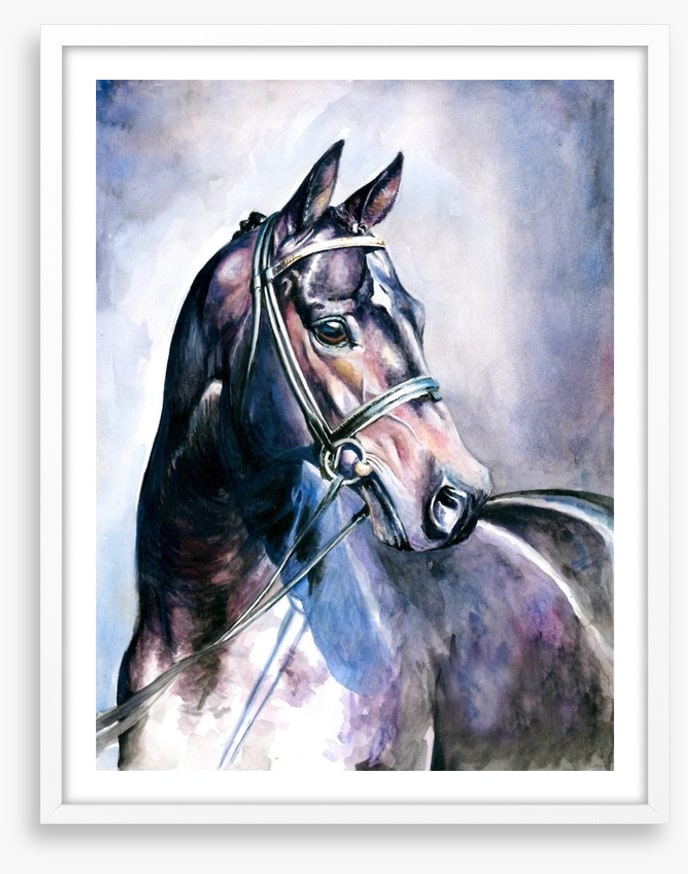 Soulful mare