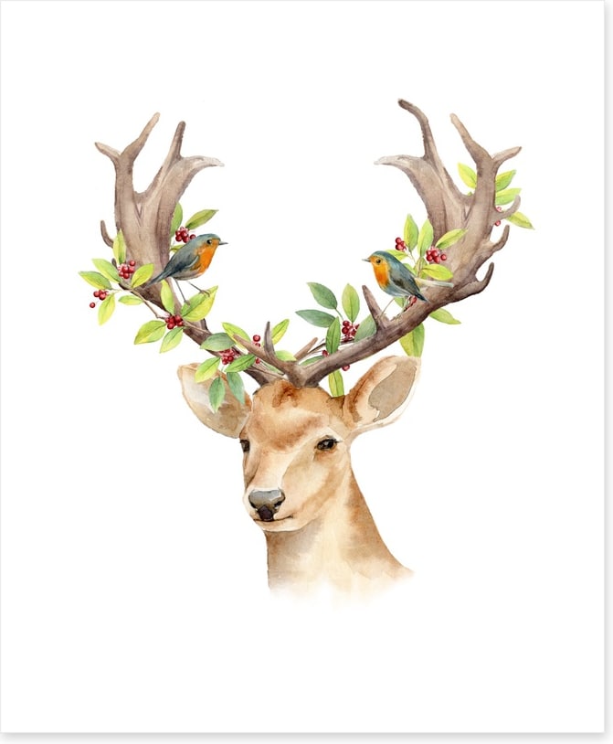 Animals