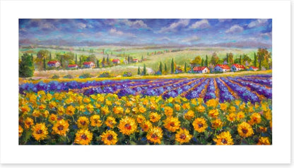 Meadows of Tuscany