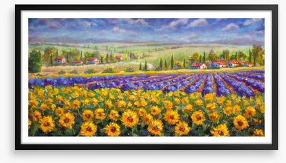 Meadows of Tuscany