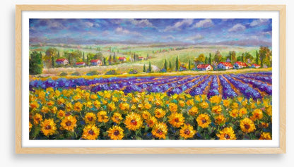 Meadows of Tuscany