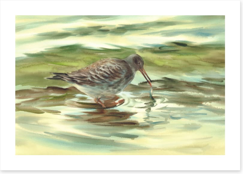 Wet beak