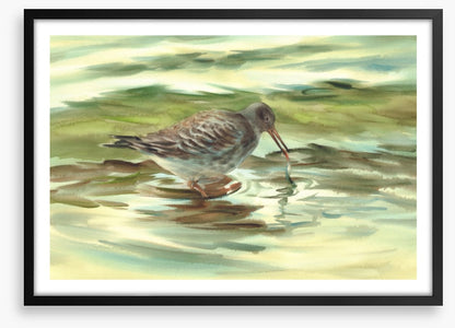 Wet beak