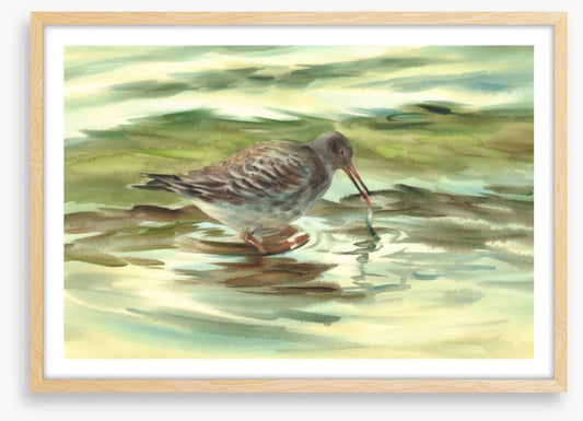 Wet beak