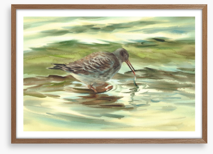 Wet beak