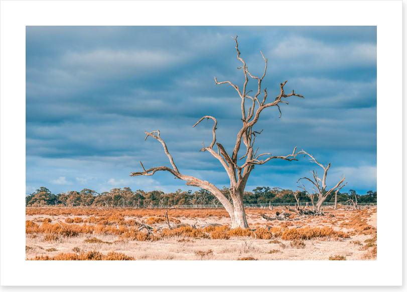 Outback