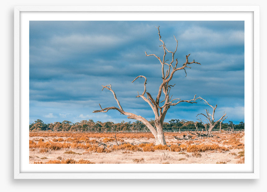 Outback
