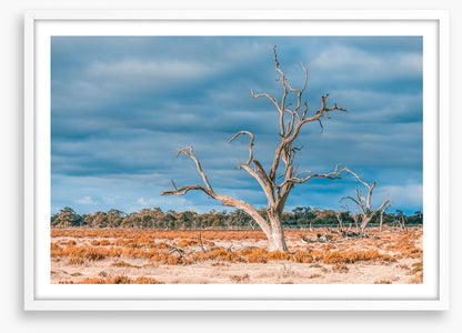 Outback