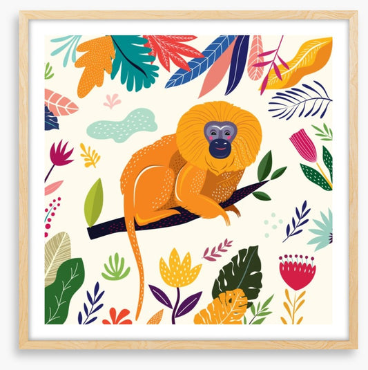 Animal Friends