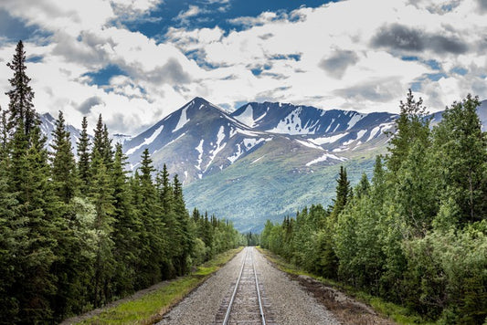Into the wild