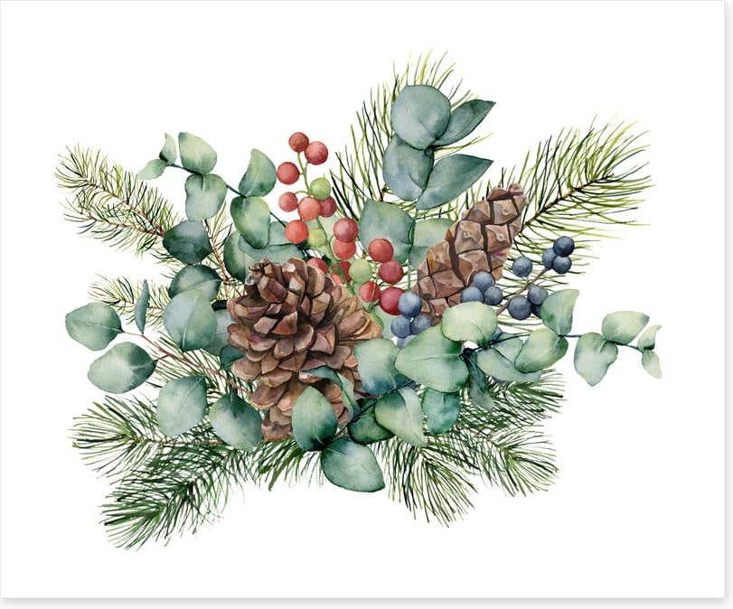 Eucalyptus cones