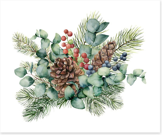 Eucalyptus cones