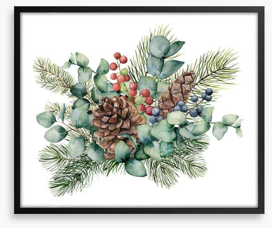 Eucalyptus cones