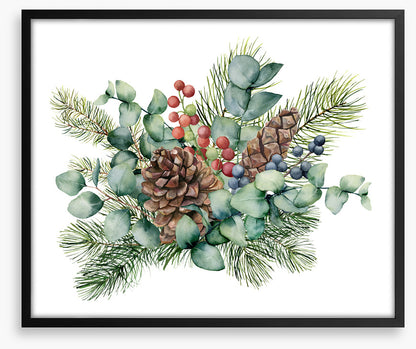 Eucalyptus cones