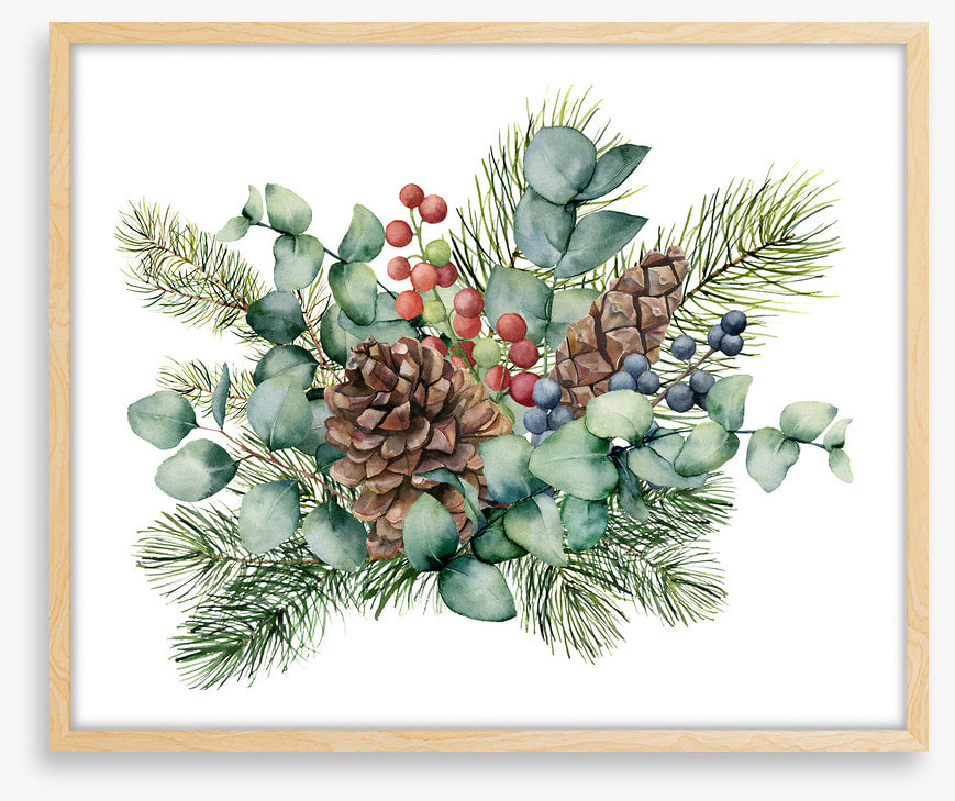 Eucalyptus cones