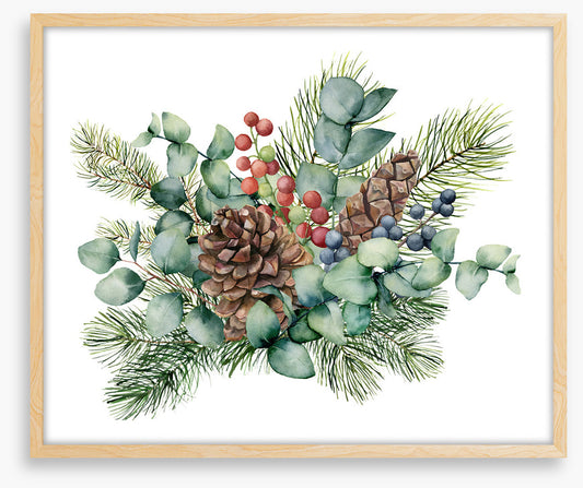 Eucalyptus cones
