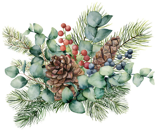 Eucalyptus cones