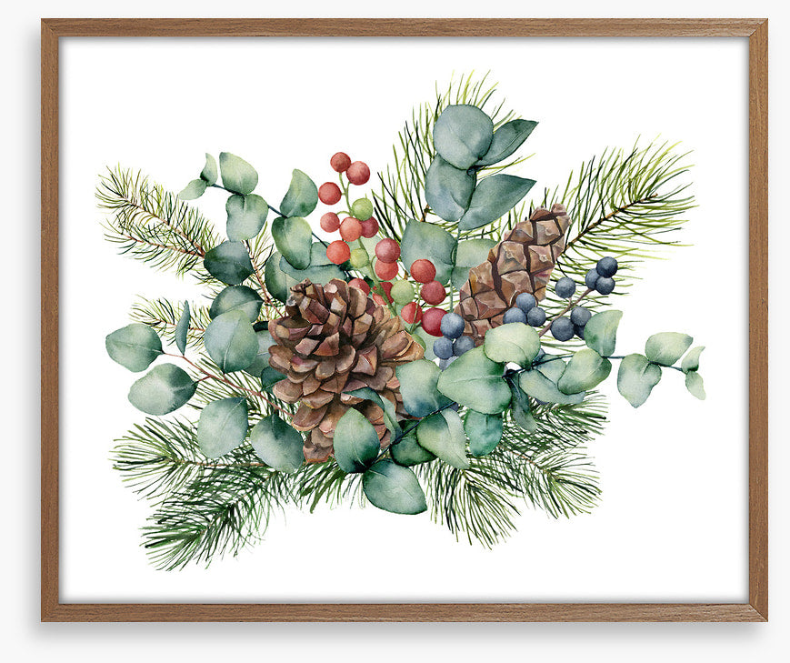 Eucalyptus cones