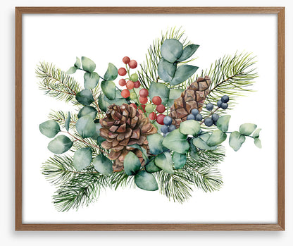 Eucalyptus cones