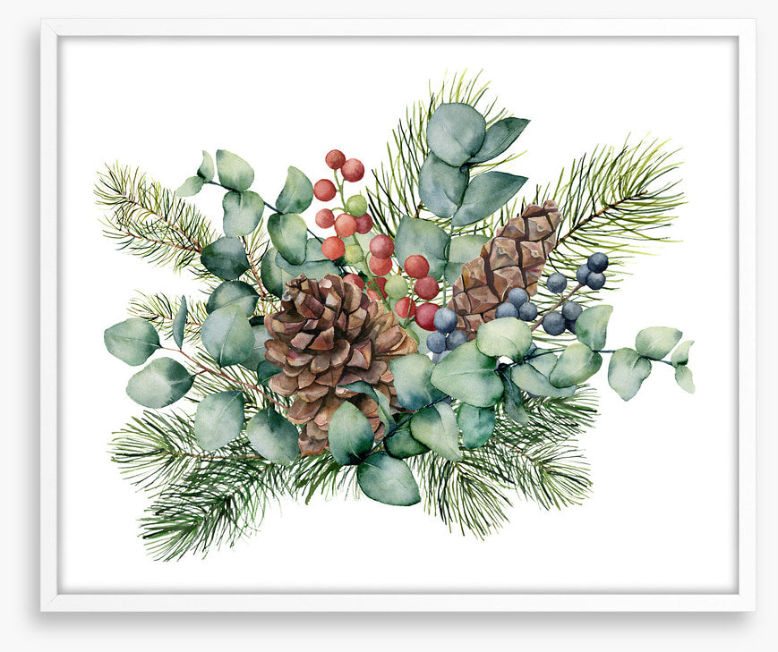 Eucalyptus cones