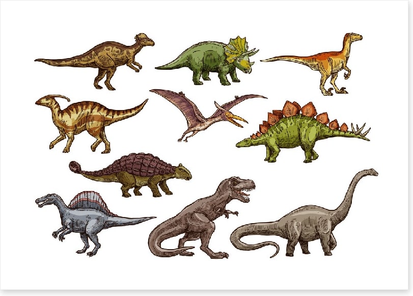 All shapes and sizes