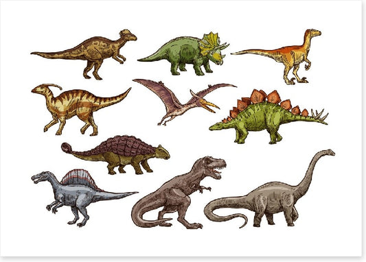 All shapes and sizes