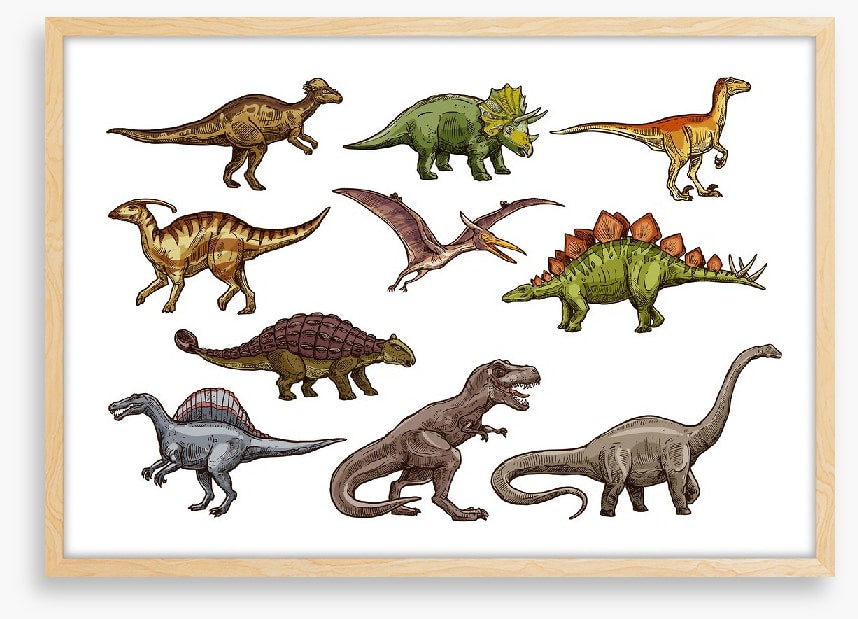 All shapes and sizes