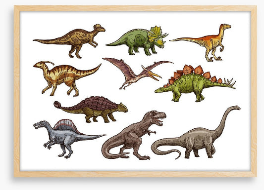 All shapes and sizes