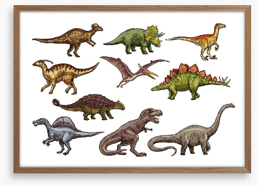 All shapes and sizes