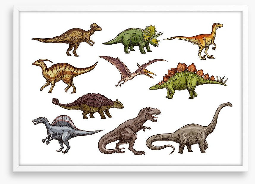 All shapes and sizes