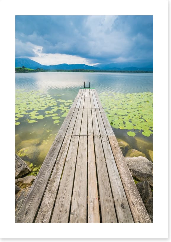 Pier over the pond
