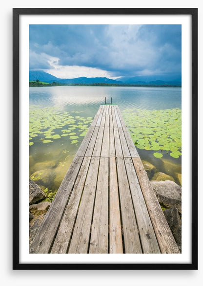 Pier over the pond