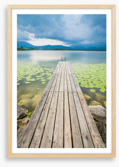 Pier over the pond