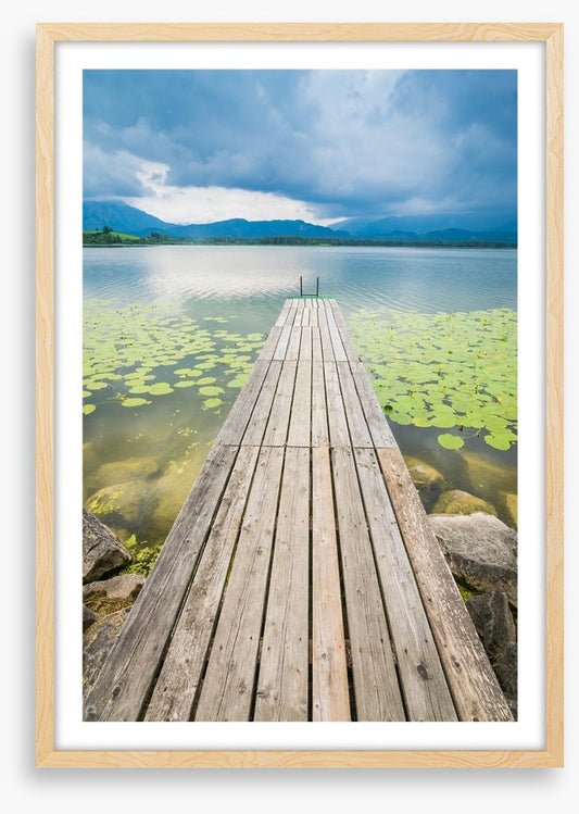 Pier over the pond