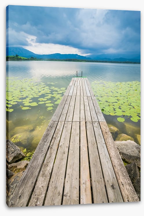 Pier over the pond