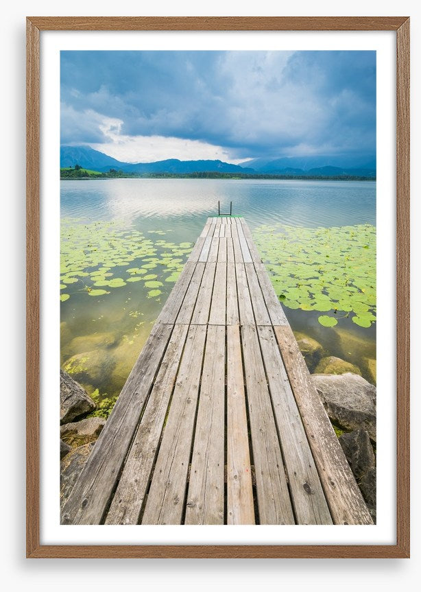 Pier over the pond