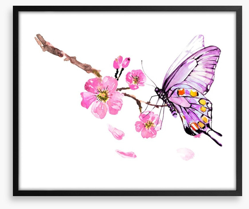 Butterflies