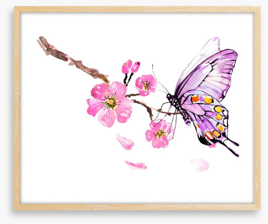 Butterflies