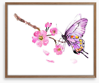 Butterflies