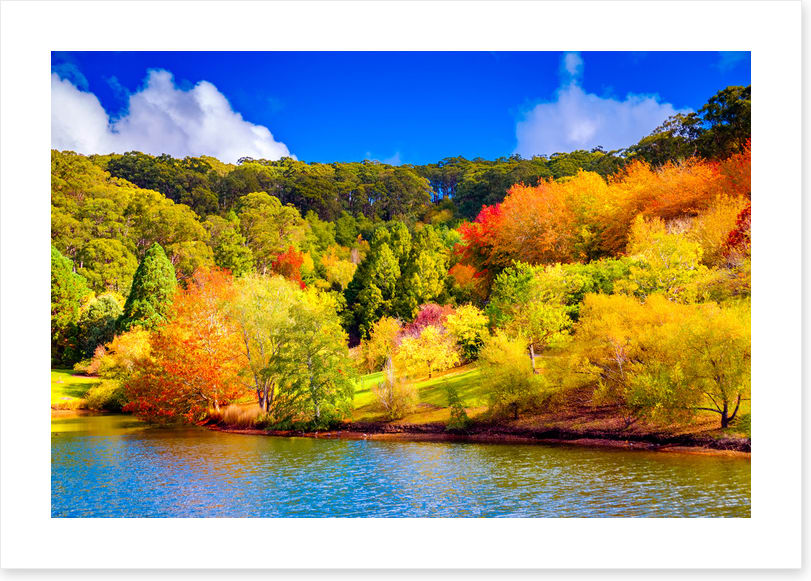 Adelaide Hills autumn