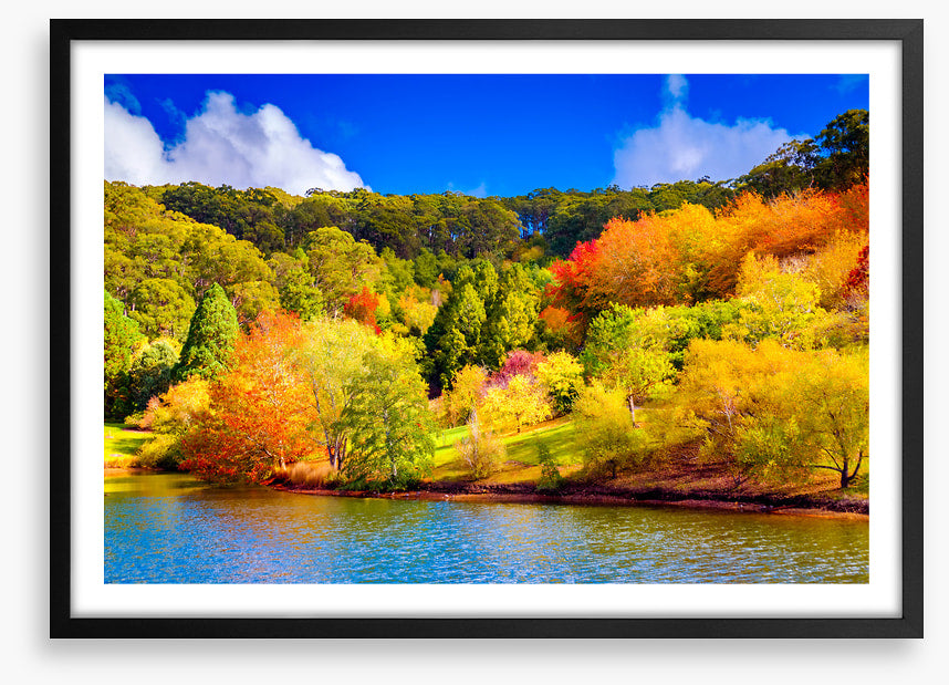 Adelaide Hills autumn