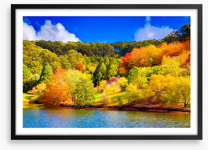 Adelaide Hills autumn