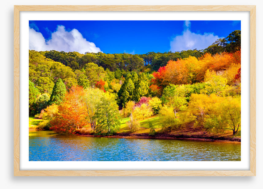 Adelaide Hills autumn