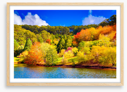 Adelaide Hills autumn