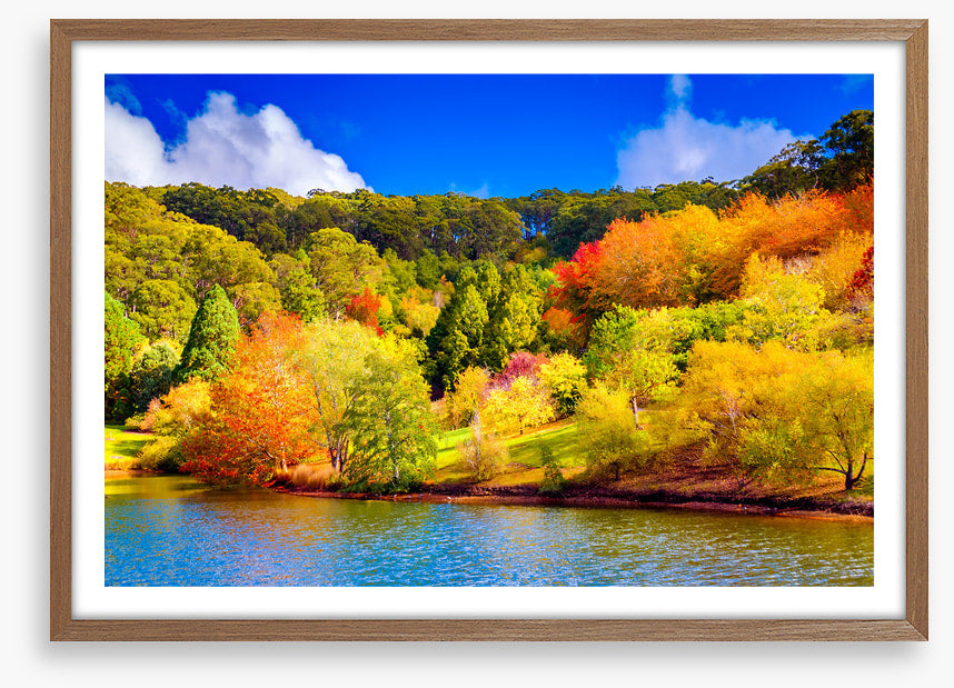 Adelaide Hills autumn