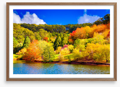 Adelaide Hills autumn