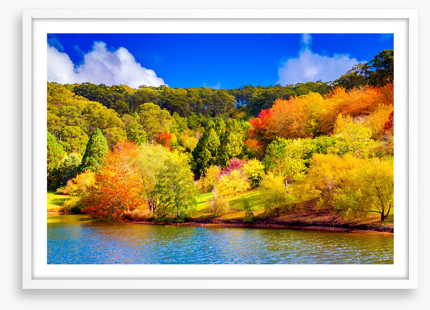 Adelaide Hills autumn