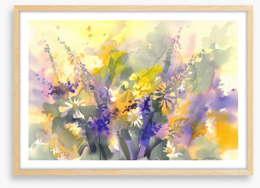 A splash of sunshine