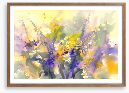 A splash of sunshine