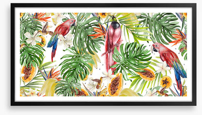 Papaya parrots